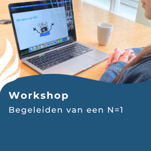 Online workshop begeleiden van een N=1